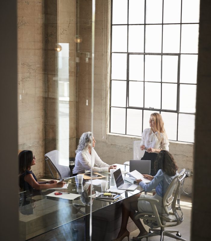 Businesswoman addressing colleagues in meeting, seen through window